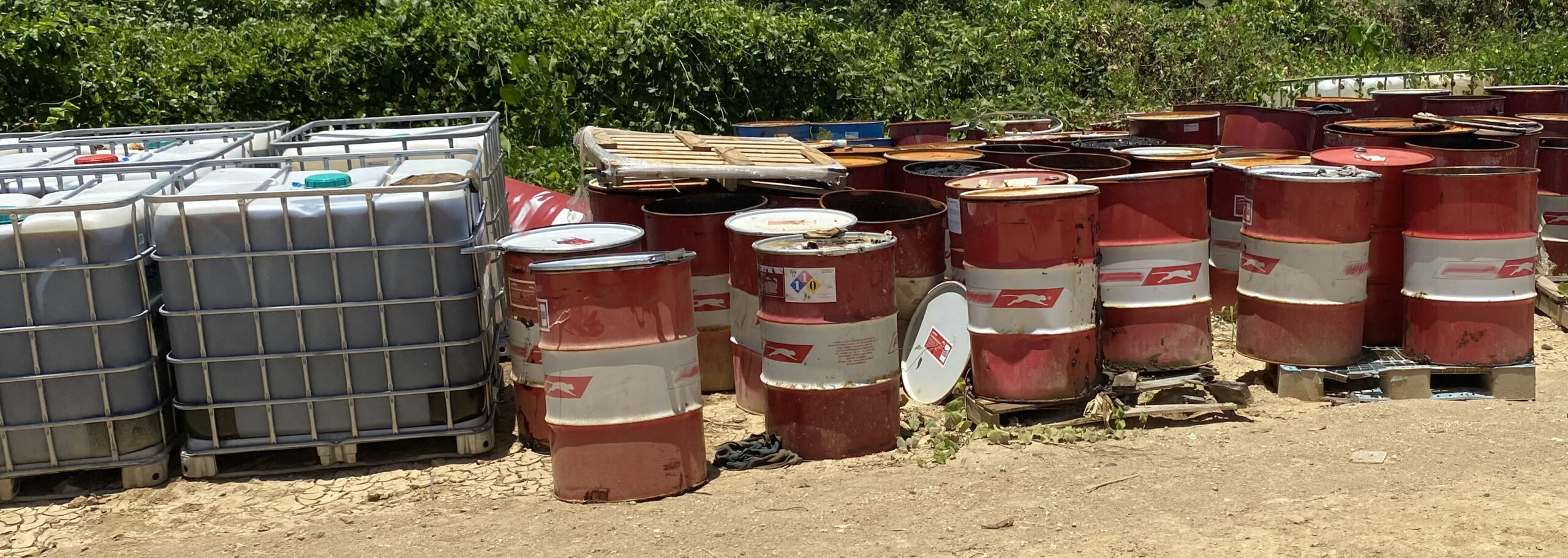 Hazardous Chemical Storage and Handling ORP DG PRO